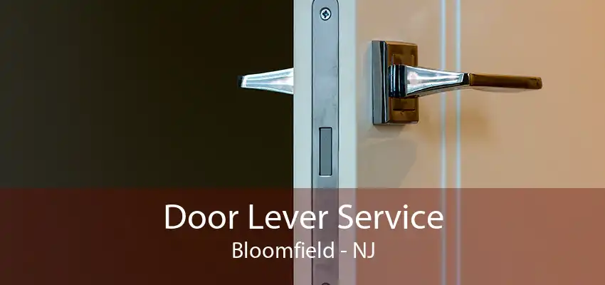 Door Lever Service Bloomfield - NJ